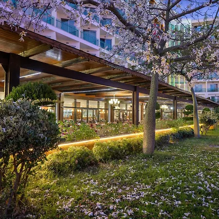 Alan Xafira Deluxe &